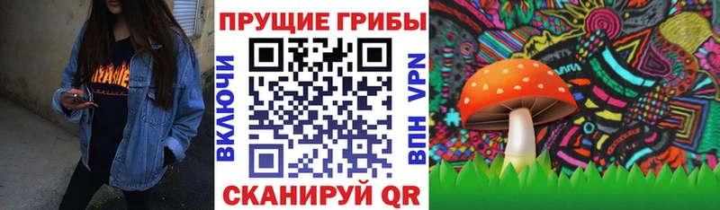 Галлюциногенные грибы MAGIC MUSHROOMS Железноводск