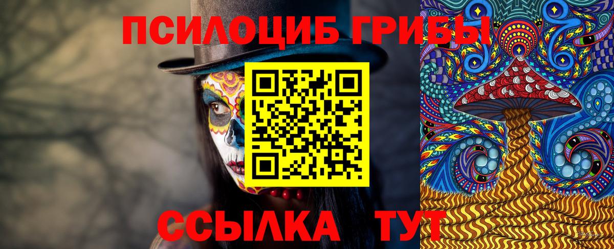 Железноводск  где можно купить   Вход с VPN  Галлюциногенные грибы Magic Shrooms 