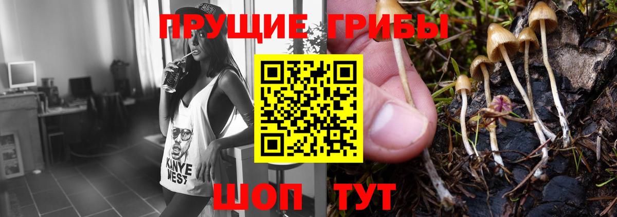 Псилоцибиновые грибы мухоморы  Железноводск 